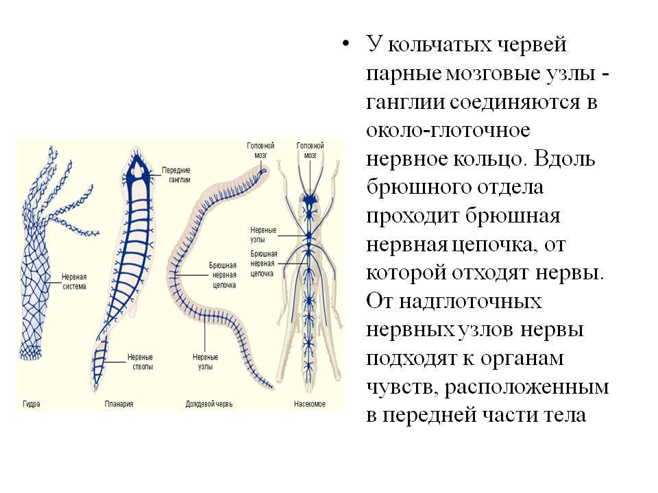 Мега сайт прайс